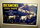 1930's Bickmore Gall Salve- Store Display Sign- Horses Vintage Vet-animal-34
