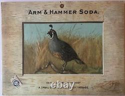 Birds Arm & Hammer Advertising Card Sign California Quail J3 Game Birds