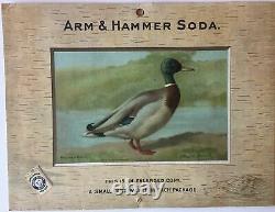 Birds Arm & Hammer Advertising Store Display Card Sign Mallard Duck J3 Game Bi