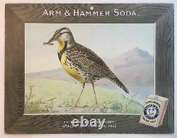 Birds Arm & Hammer Advertising Store Display Card Sign Meadowlark J5