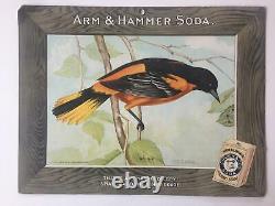 Birds Arm & Hammer Advertising Store Display Card Sign Oriole J5