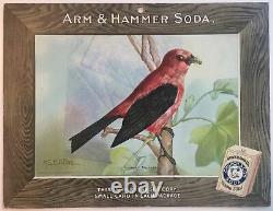 Birds Arm & Hammer Advertising Store Display Card Sign Scarlet Tanager J5