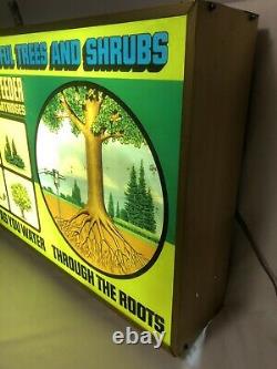 Rare! Vintage Ross Root Feeder Electric Light Advertising Display Sign