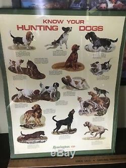 VTG Remington Store Display Advertising, Dupont, Know Your Hunting Dogs