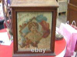 Vintage 1800's General Store Diamond Dyes Cabinet Baby