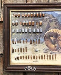 Vintage SPEER Ammunition Hunting Store Advertising Sign Bullet Samples Display