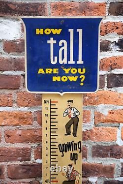 Vintage Workwear Clothing Sign Store Display Kaynee Boys Height Chart RULER