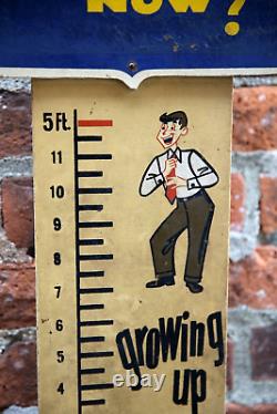 Vintage Workwear Clothing Sign Store Display Kaynee Boys Height Chart RULER